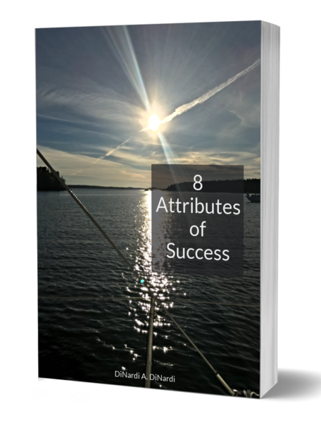Attributes of Success pdf
